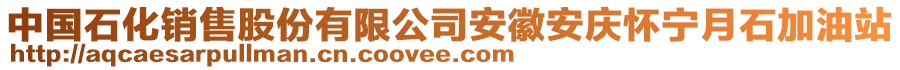 中國石化銷售股份有限公司安徽安慶懷寧月石加油站