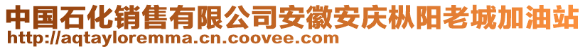 中国石化销售有限公司安徽安庆枞阳老城加油站