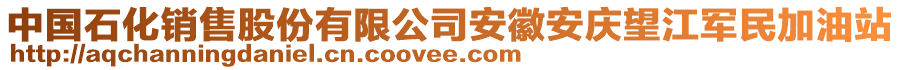 中國石化銷售股份有限公司安徽安慶望江軍民加油站