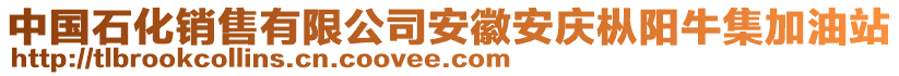 中國石化銷售有限公司安徽安慶樅陽牛集加油站