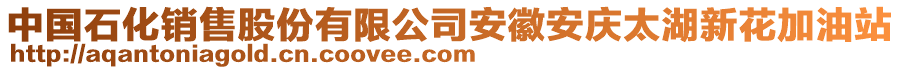 中國石化銷售股份有限公司安徽安慶太湖新花加油站