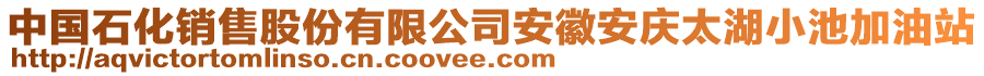 中國石化銷售股份有限公司安徽安慶太湖小池加油站