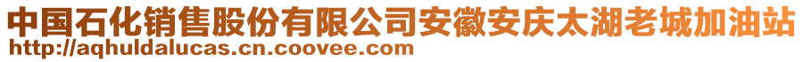 中國石化銷售股份有限公司安徽安慶太湖老城加油站