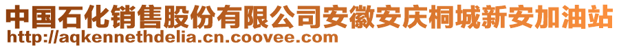 中國石化銷售股份有限公司安徽安慶桐城新安加油站