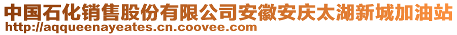 中國(guó)石化銷售股份有限公司安徽安慶太湖新城加油站