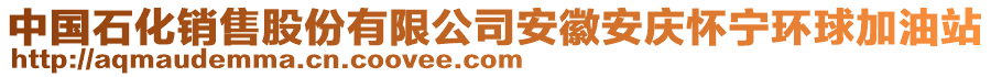 中國石化銷售股份有限公司安徽安慶懷寧環(huán)球加油站