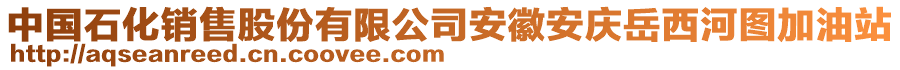 中國石化銷售股份有限公司安徽安慶岳西河圖加油站