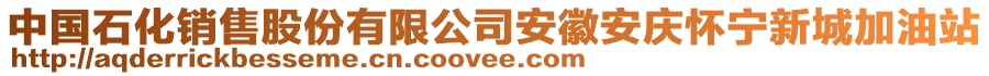 中國(guó)石化銷售股份有限公司安徽安慶懷寧新城加油站