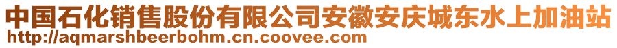 中國(guó)石化銷售股份有限公司安徽安慶城東水上加油站