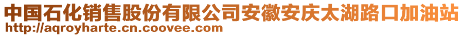 中國石化銷售股份有限公司安徽安慶太湖路口加油站