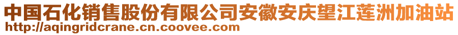 中國(guó)石化銷售股份有限公司安徽安慶望江蓮洲加油站