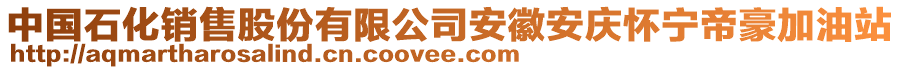 中國石化銷售股份有限公司安徽安慶懷寧帝豪加油站