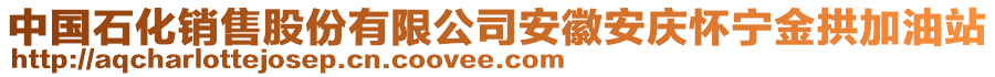 中國石化銷售股份有限公司安徽安慶懷寧金拱加油站