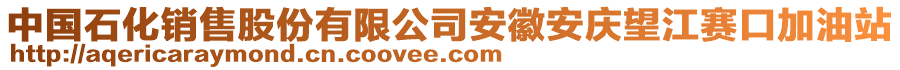 中國(guó)石化銷售股份有限公司安徽安慶望江賽口加油站