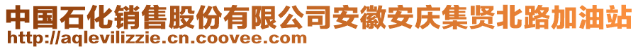 中國石化銷售股份有限公司安徽安慶集賢北路加油站