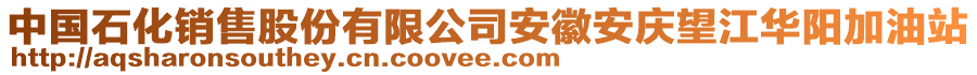 中國(guó)石化銷售股份有限公司安徽安慶望江華陽加油站