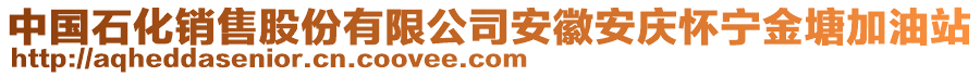 中國石化銷售股份有限公司安徽安慶懷寧金塘加油站