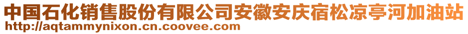 中國石化銷售股份有限公司安徽安慶宿松涼亭河加油站