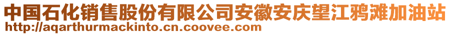 中國(guó)石化銷售股份有限公司安徽安慶望江鴉灘加油站