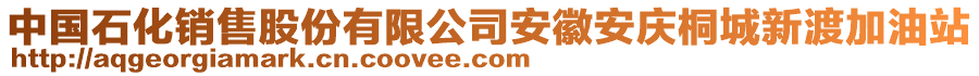 中國(guó)石化銷售股份有限公司安徽安慶桐城新渡加油站