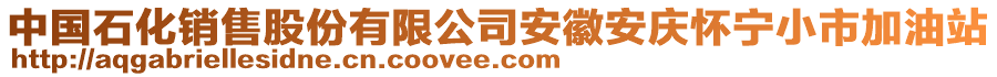 中國(guó)石化銷售股份有限公司安徽安慶懷寧小市加油站