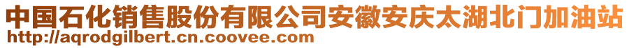 中國(guó)石化銷(xiāo)售股份有限公司安徽安慶太湖北門(mén)加油站