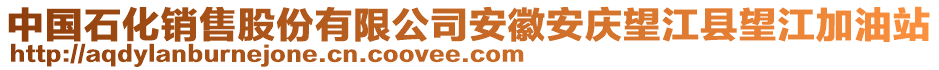 中國石化銷售股份有限公司安徽安慶望江縣望江加油站