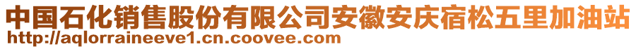 中國(guó)石化銷(xiāo)售股份有限公司安徽安慶宿松五里加油站