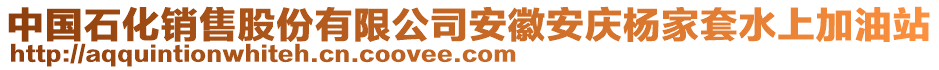 中國(guó)石化銷售股份有限公司安徽安慶楊家套水上加油站