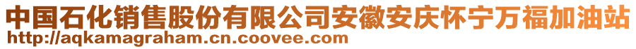 中國石化銷售股份有限公司安徽安慶懷寧萬福加油站