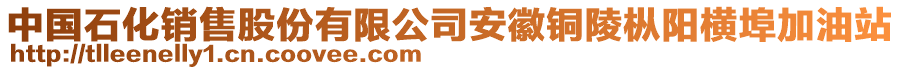 中國石化銷售股份有限公司安徽銅陵樅陽橫埠加油站