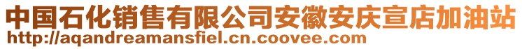 中國石化銷售有限公司安徽安慶宣店加油站