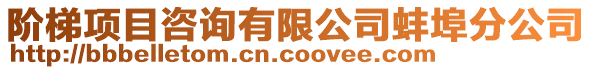 階梯項目咨詢有限公司蚌埠分公司
