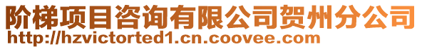 階梯項目咨詢有限公司賀州分公司