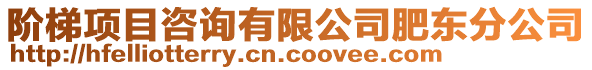 階梯項目咨詢有限公司肥東分公司