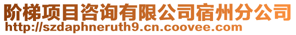 階梯項目咨詢有限公司宿州分公司
