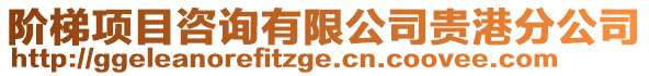 階梯項目咨詢有限公司貴港分公司