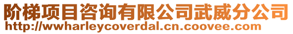 階梯項(xiàng)目咨詢有限公司武威分公司