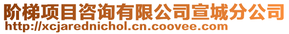 階梯項目咨詢有限公司宣城分公司