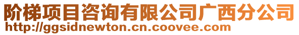 階梯項目咨詢有限公司廣西分公司