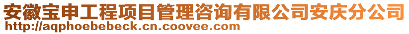 安徽寶申工程項目管理咨詢有限公司安慶分公司