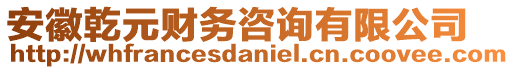 安徽乾元財(cái)務(wù)咨詢有限公司