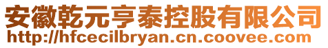 安徽乾元亨泰控股有限公司