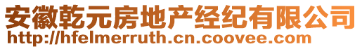 安徽乾元房地產經紀有限公司