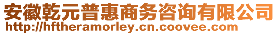 安徽乾元普惠商務咨詢有限公司