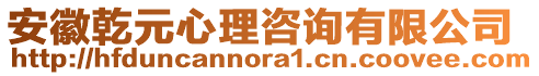 安徽乾元心理咨詢有限公司