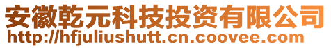 安徽乾元科技投資有限公司