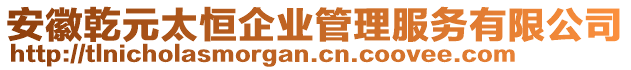 安徽乾元太恒企業管理服務有限公司