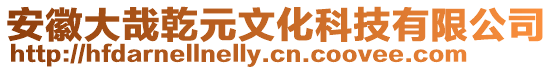 安徽大哉乾元文化科技有限公司