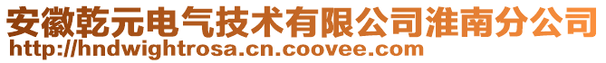 安徽乾元電氣技術(shù)有限公司淮南分公司